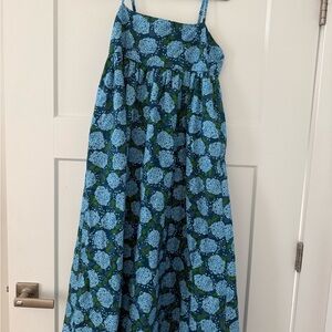 THML hydrangea dress                            Floral Blue and Green Maxi Dress